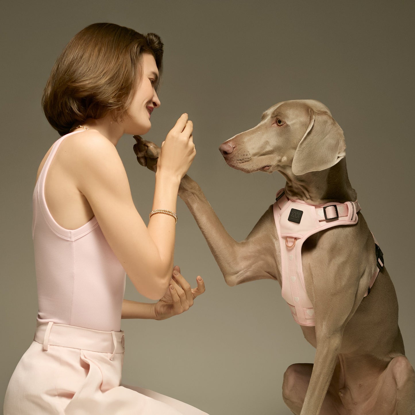 The NoMad Adjustable Luxe Harness - Sweetheart