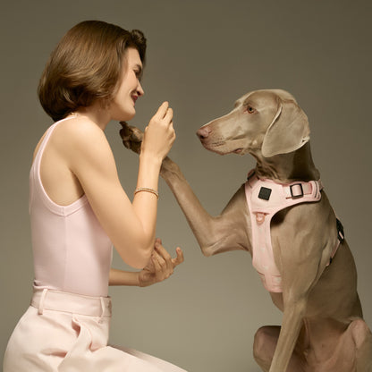 The NoMad Adjustable Luxe Harness - Sweetheart