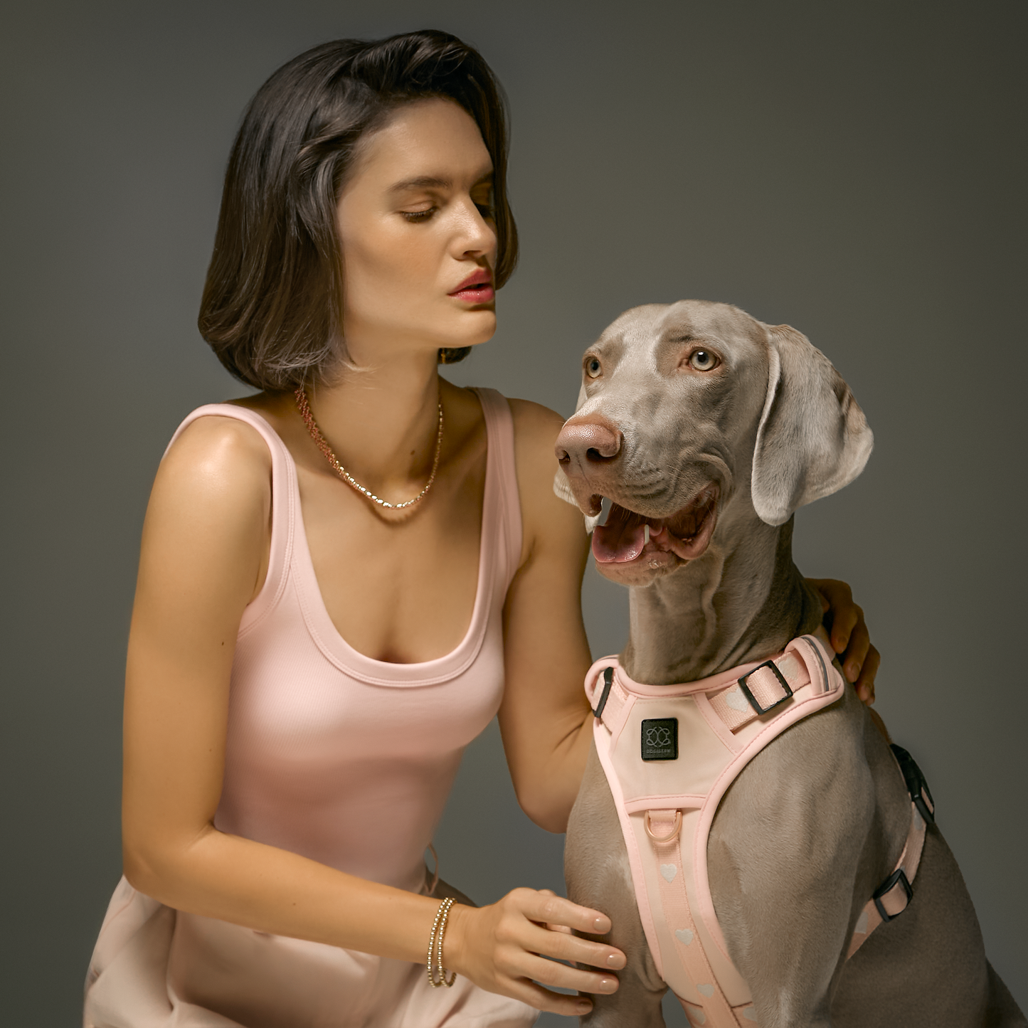 The NoMad Adjustable Luxe Harness - Sweetheart