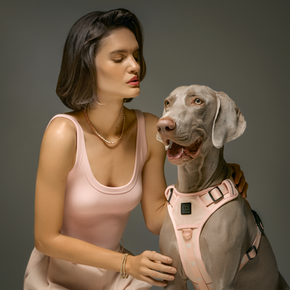 The NoMad Adjustable Luxe Harness - Sweetheart
