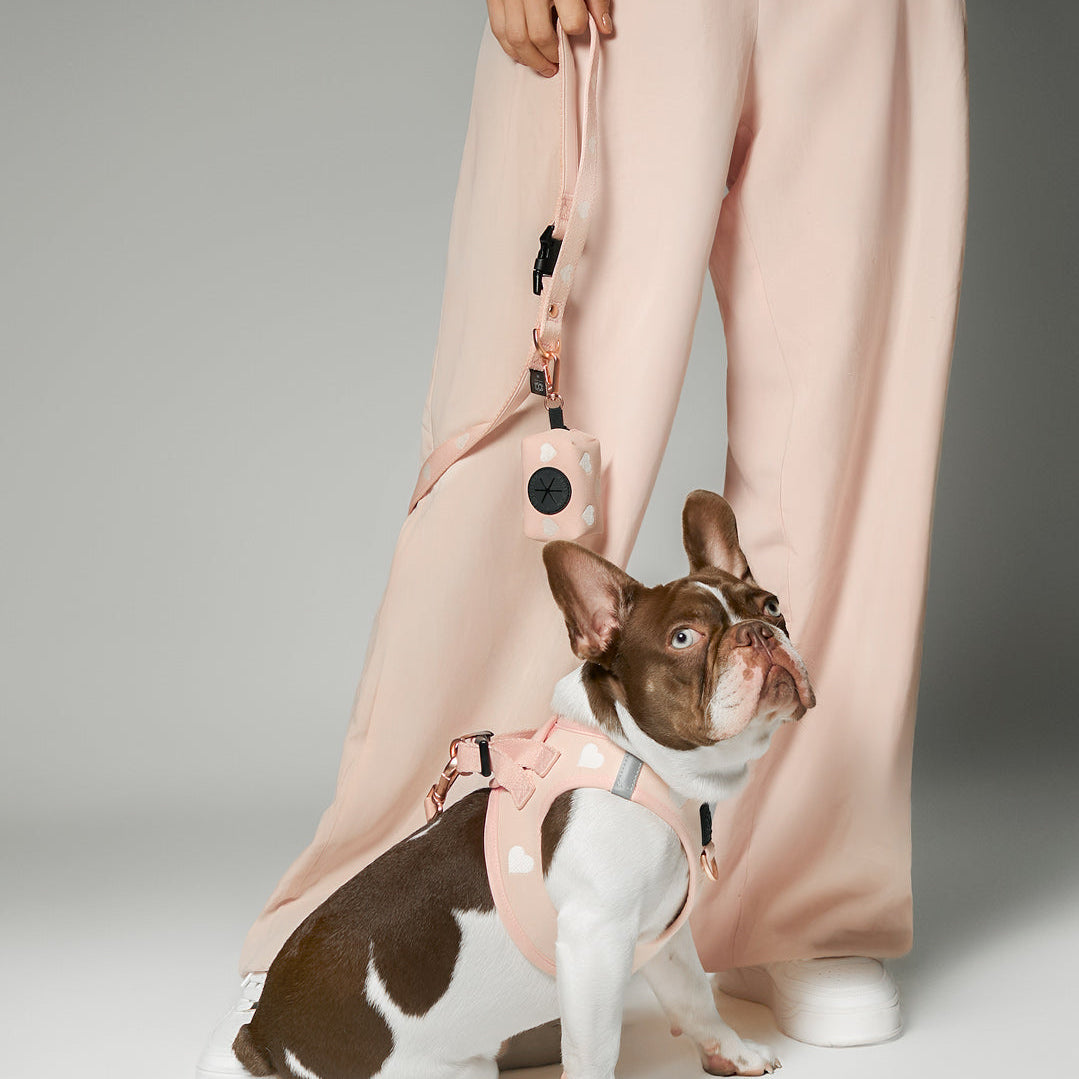 SoHo Dog Harness - Sweetheart
