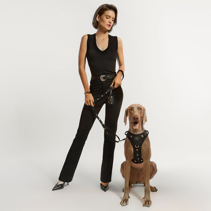 The NoMad Adjustable Luxe Harness - Rockstar