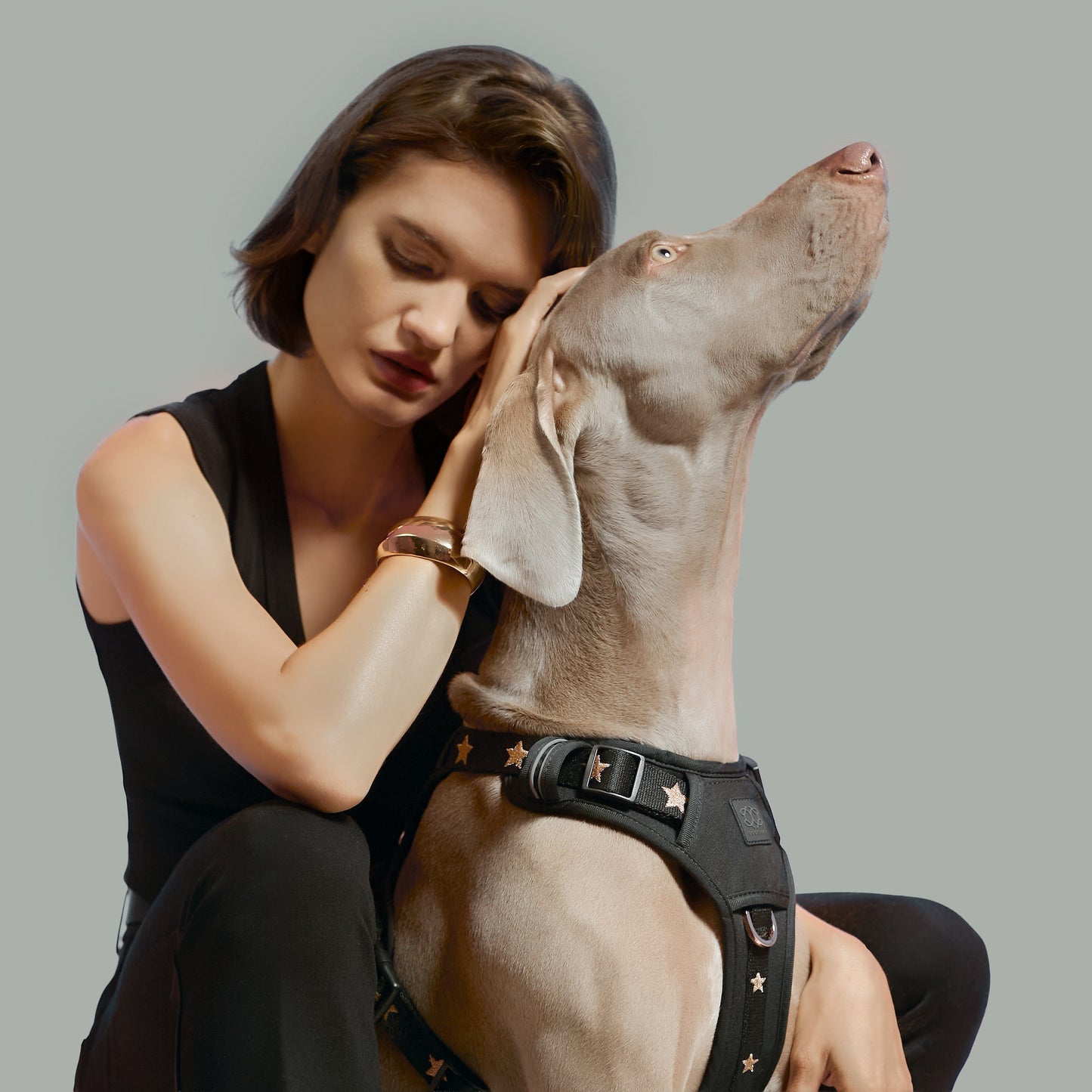 The NoMad Adjustable Luxe Harness - Rockstar