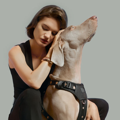 The NoMad Adjustable Luxe Harness - Rockstar