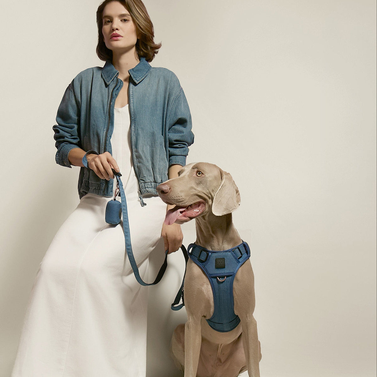 3-in-1 City Dog Leash - Denim