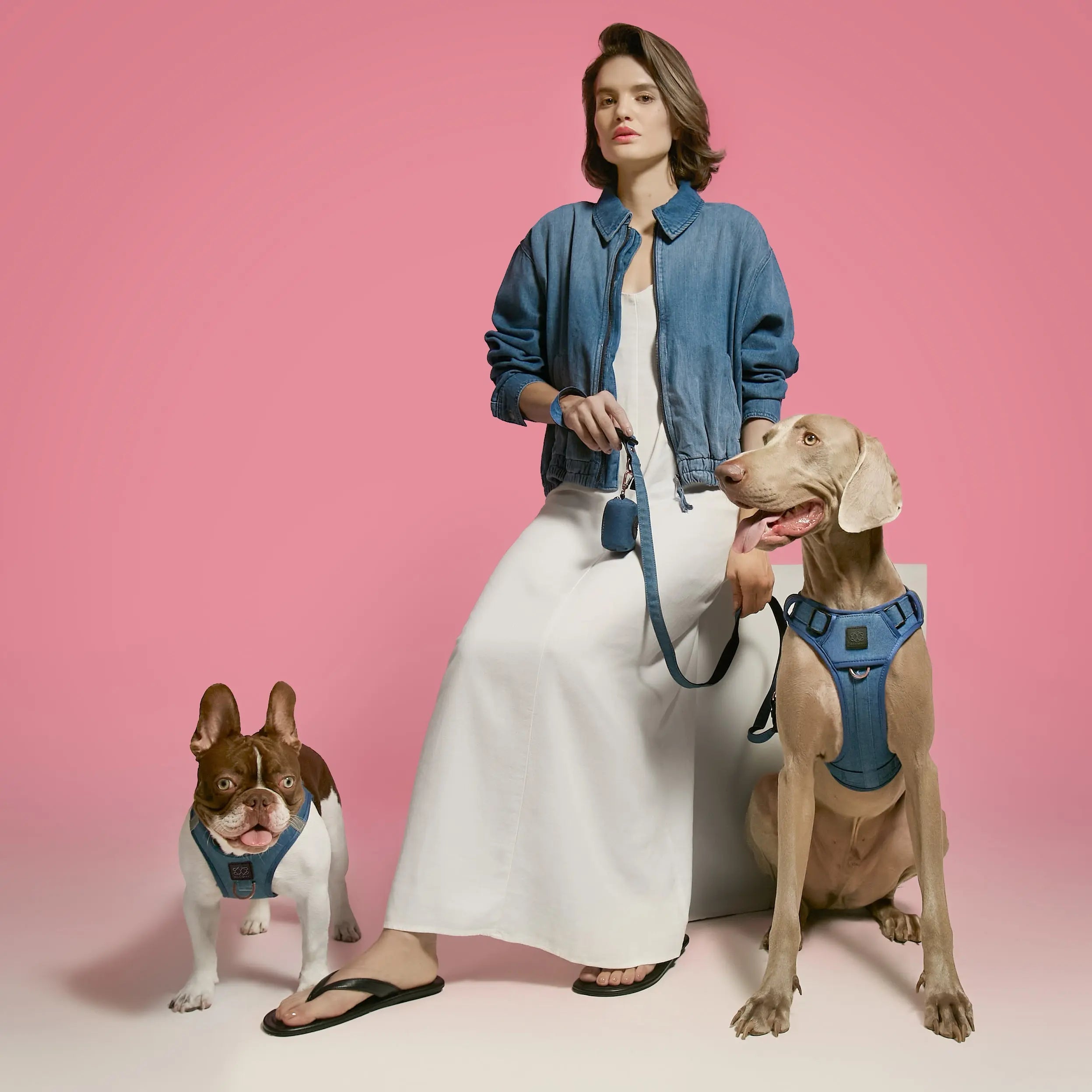 SoHo Dog Harness - Denim - K9 Outdoors