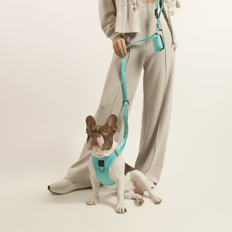 3-in-1 City Dog Leash - Fifth Avenue