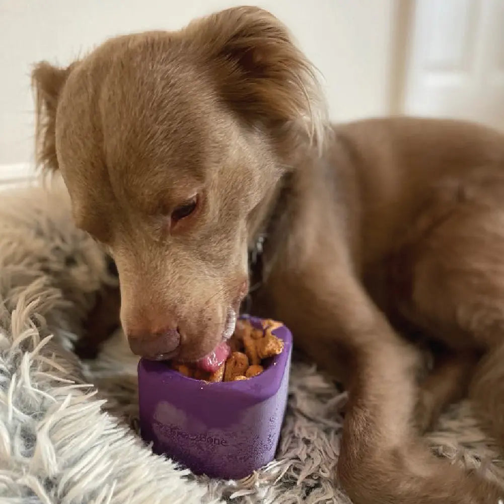 Freezbox - Super Tough Treat Toy Freezbone