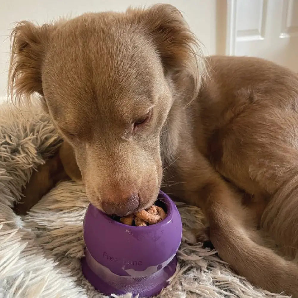 Freezball - Durable Fillable Dog Chew Bone Freezbone