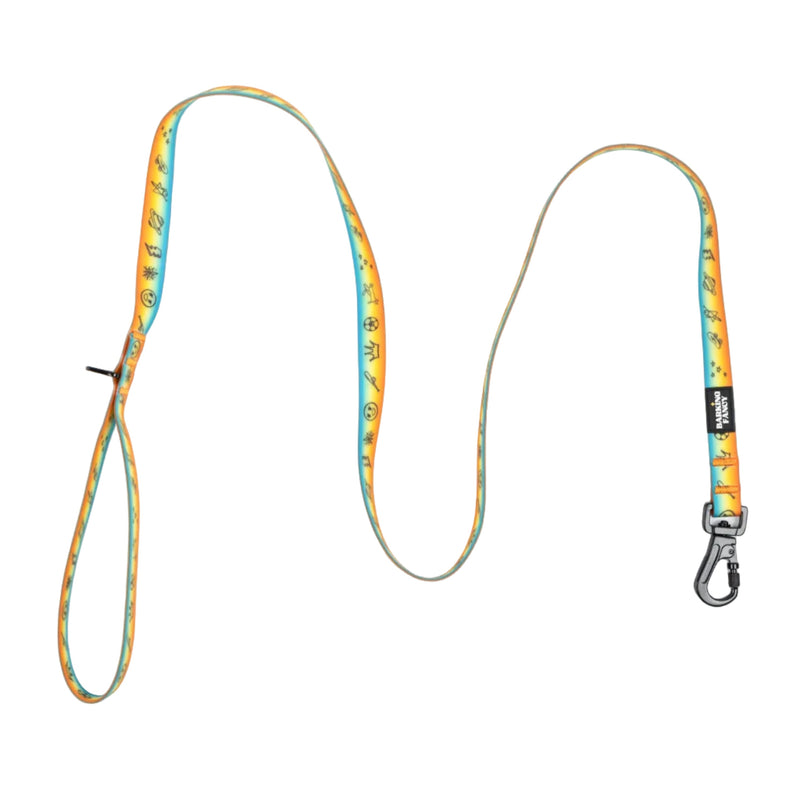 Doodles Print Waterproof Dog Leash - Orange Gradient