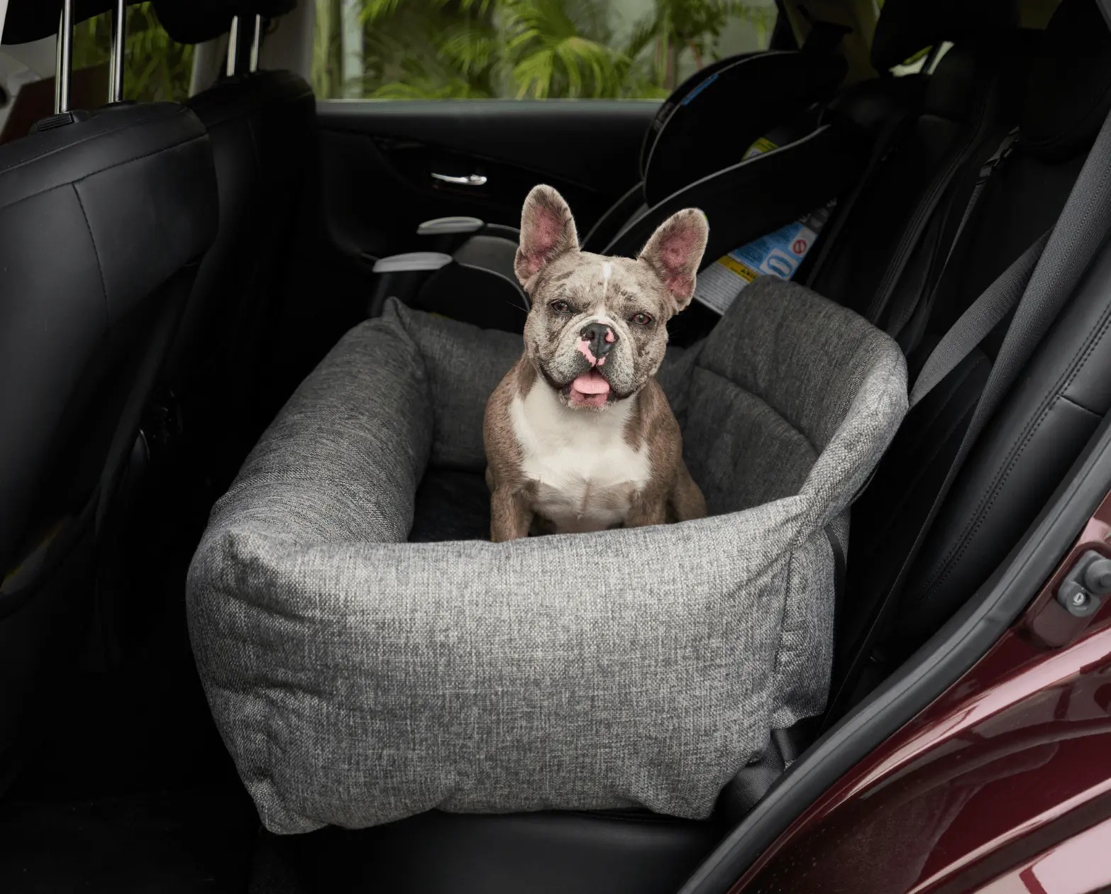 PupProtector™ Memory Foam Dog Car Bed Paw.com