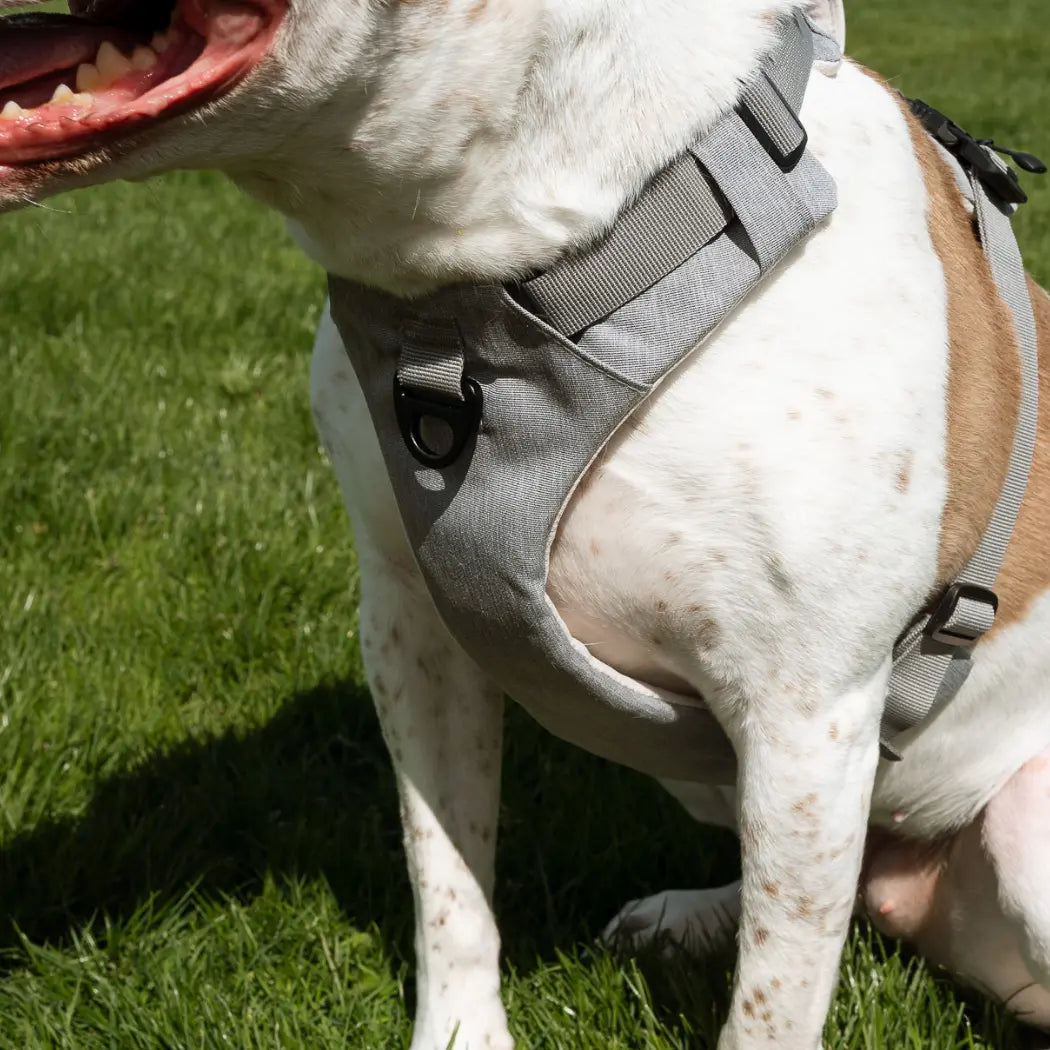 Magnetic Dog Harness - One-Hand Clip, No-Pull Design Up Dog Shop