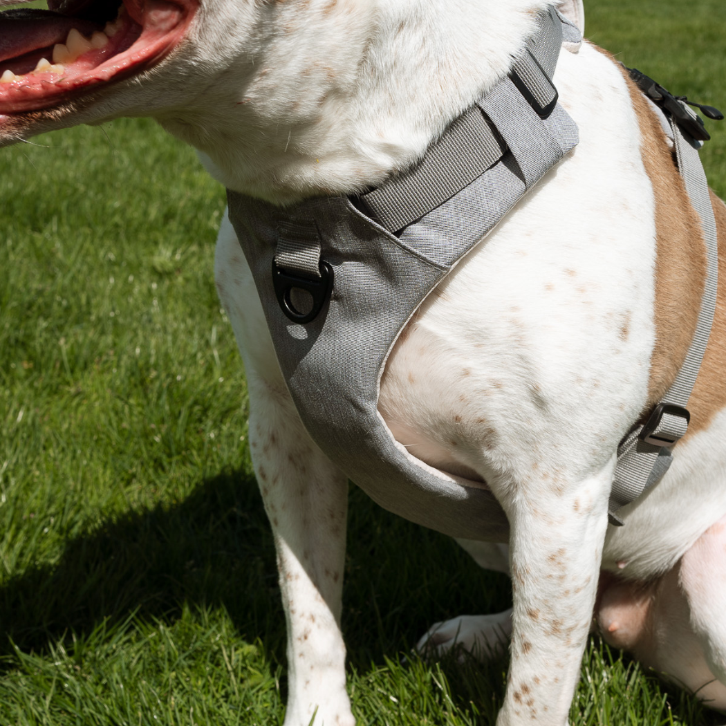 Magnetic Dog Harness Up Dog Shop