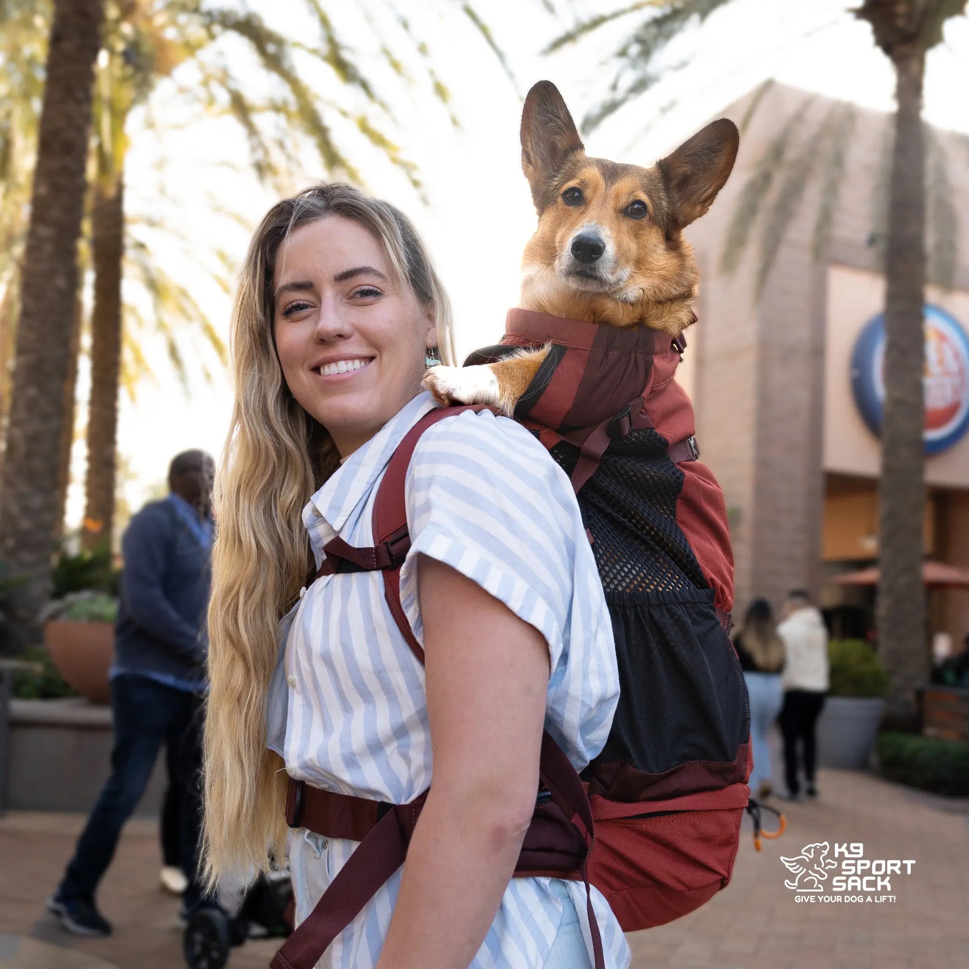 Knavigate | Advanced Dog Carrier with Internal Frame & Hip Belt K9 Sport Sack