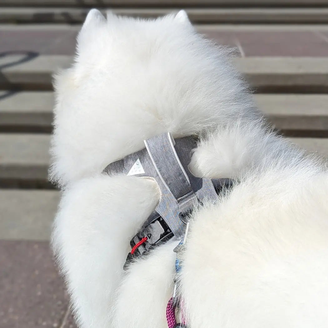 Magnetic Dog Harness - One-Hand Clip, No-Pull Design Up Dog Shop