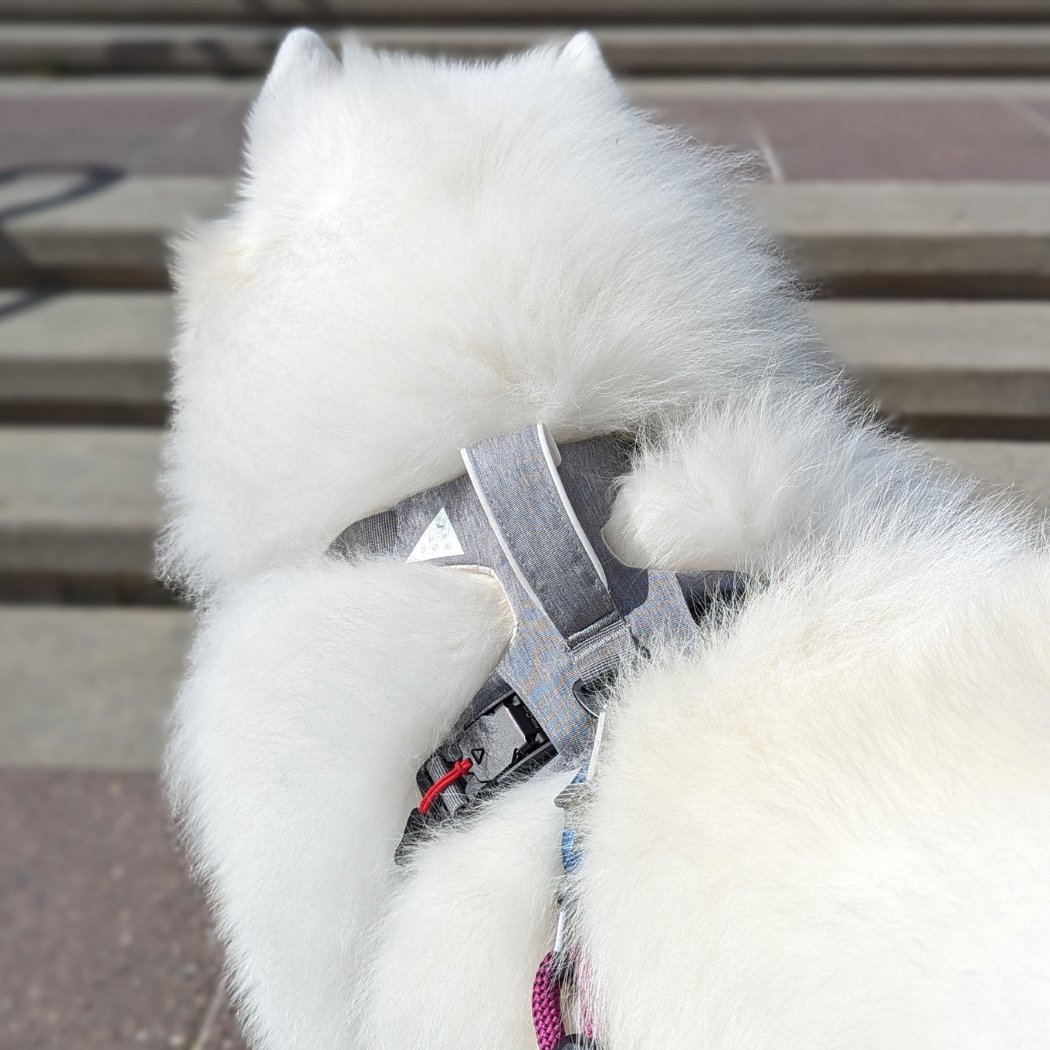 Magnetic Dog Harness Up Dog Shop