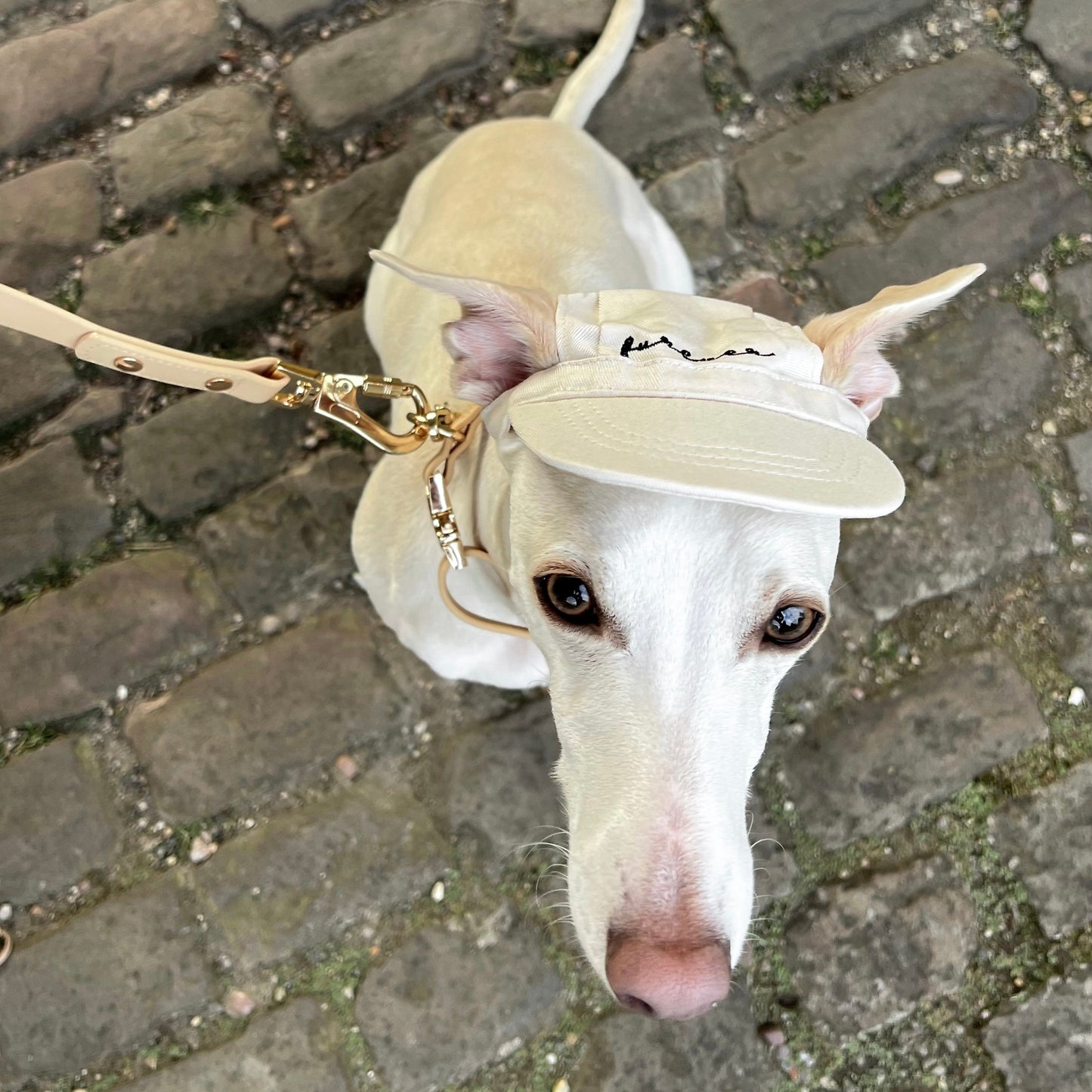 Furever Pet Hat Elise Galleria