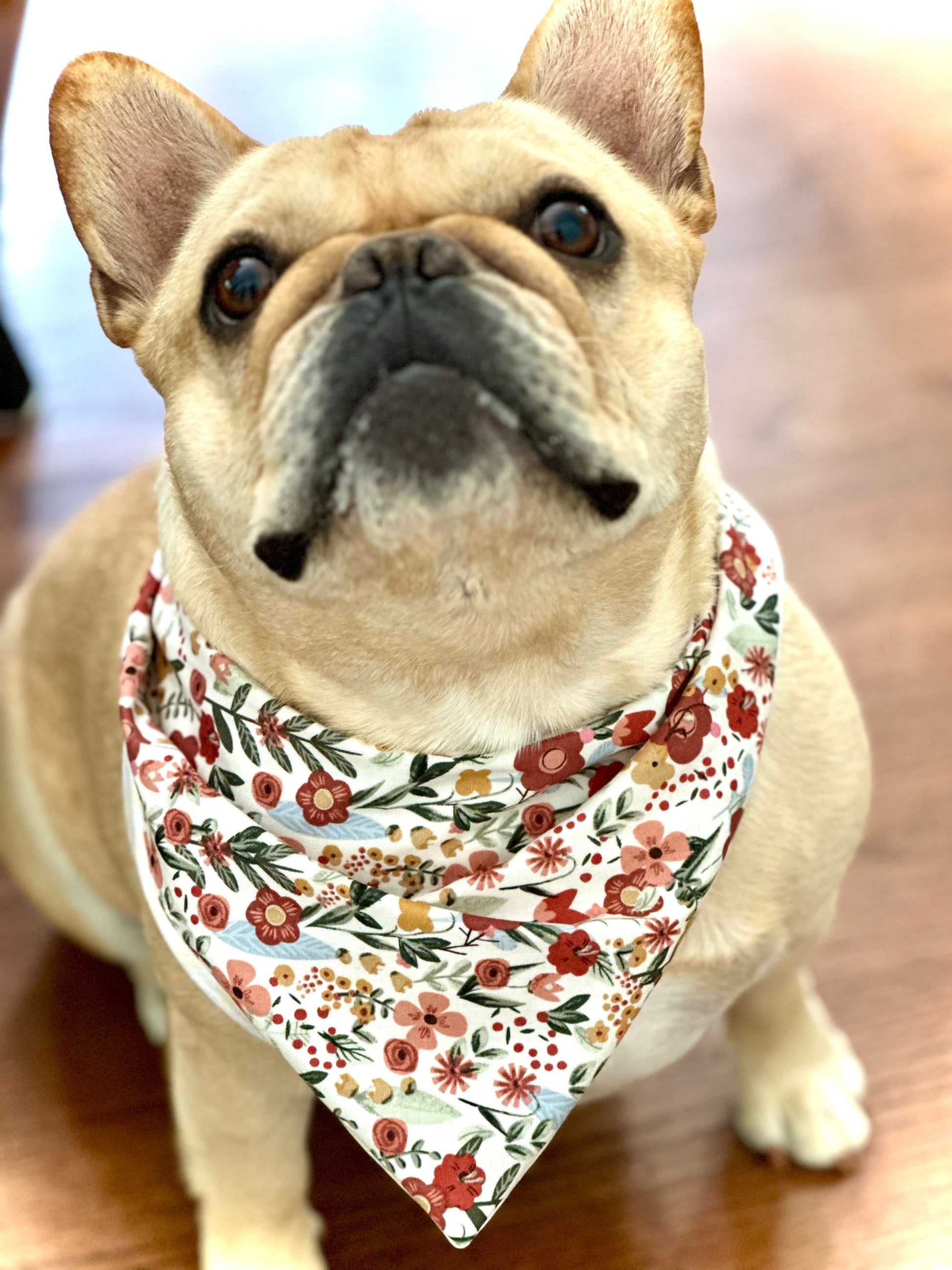 Floral Dog Bandana Happy Tails Outfitters