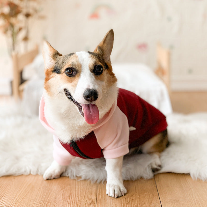 Corgi Dog Clothes Spring and Autumn Thin Small and Medium Dog Hair Shedding Prevention Pet Dog Clothes