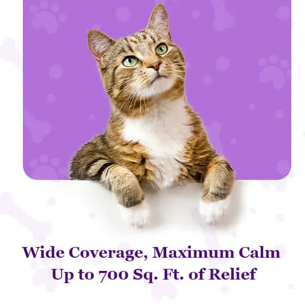 Purrfect Cat Calming Diffuser Kit with 2 Refills