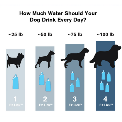 Vapur® EZ Lick™ Portable Dog Water Bottle K9 Sport Sack