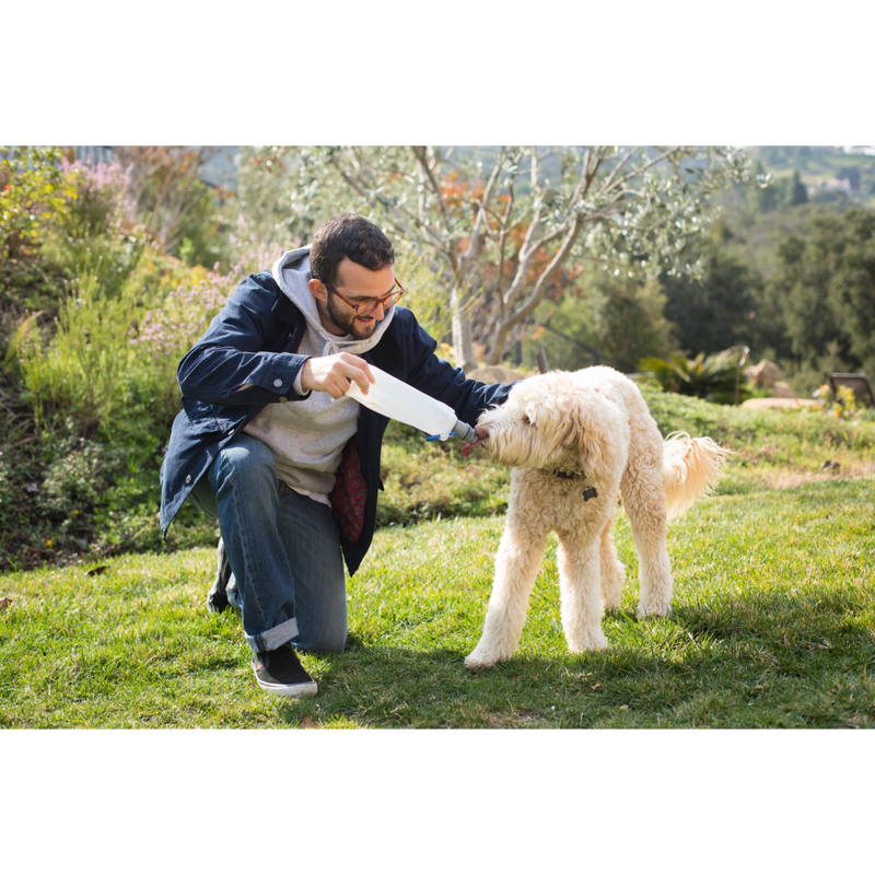 Vapur® EZ Lick™ Portable Dog Water Bottle