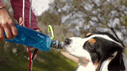 Vapur® EZ Lick™ Portable Dog Water Bottle K9 Sport Sack