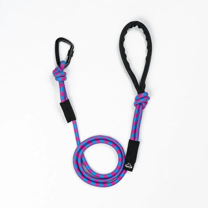 10MM Adventure Kernmantle Rope Dog Leash Alpha Pak