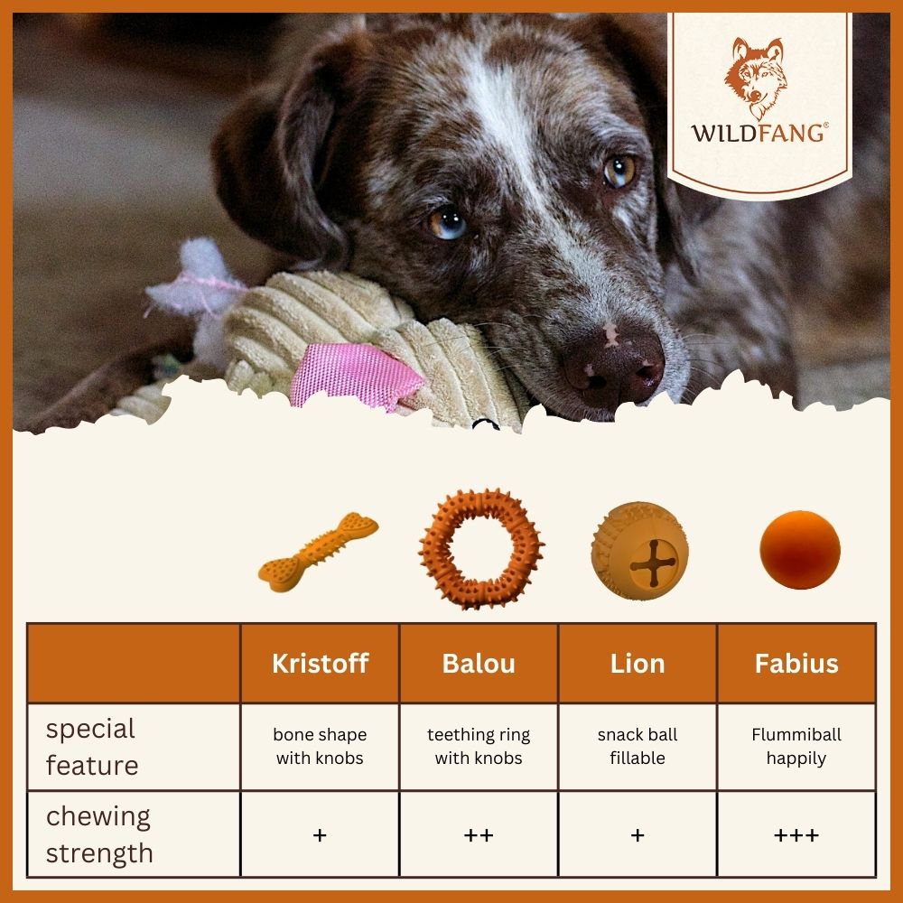 Rocket Natural Rubber Dog Toy – Squeaky Chew & Fetch Toy