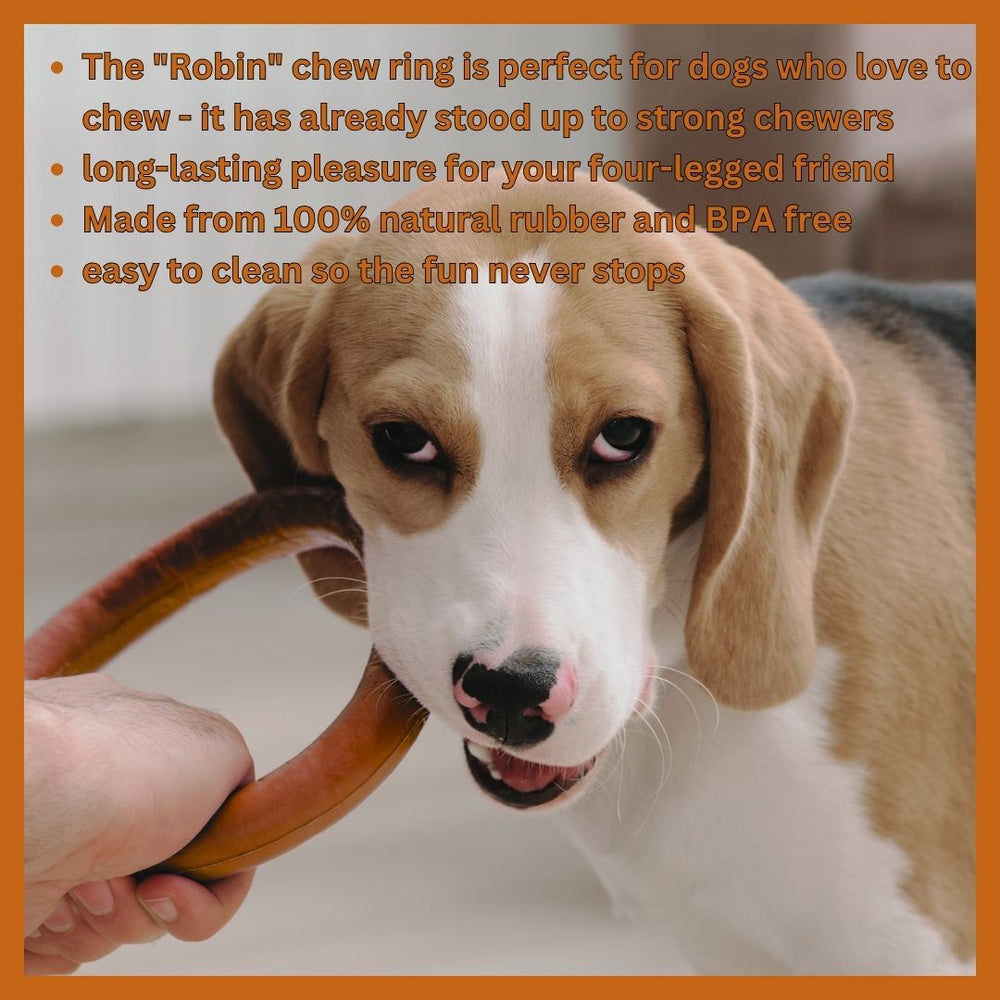 Robin Natural Rubber Dog Ring – Durable Chew & Play Toy