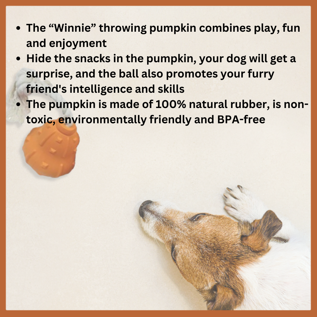 Winnie Natural Rubber Dog Toy – Treat, Tug & Chew Toy
