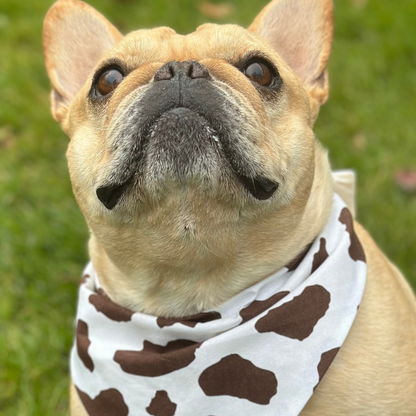 Cow Print Dog Bandana Happy Tails Outfitters