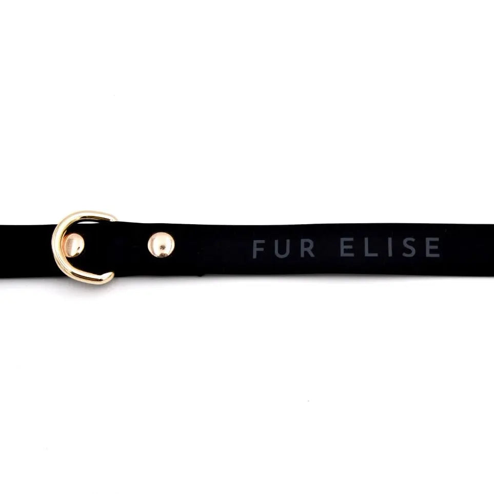 Elise Leash - Noir Elise Galleria