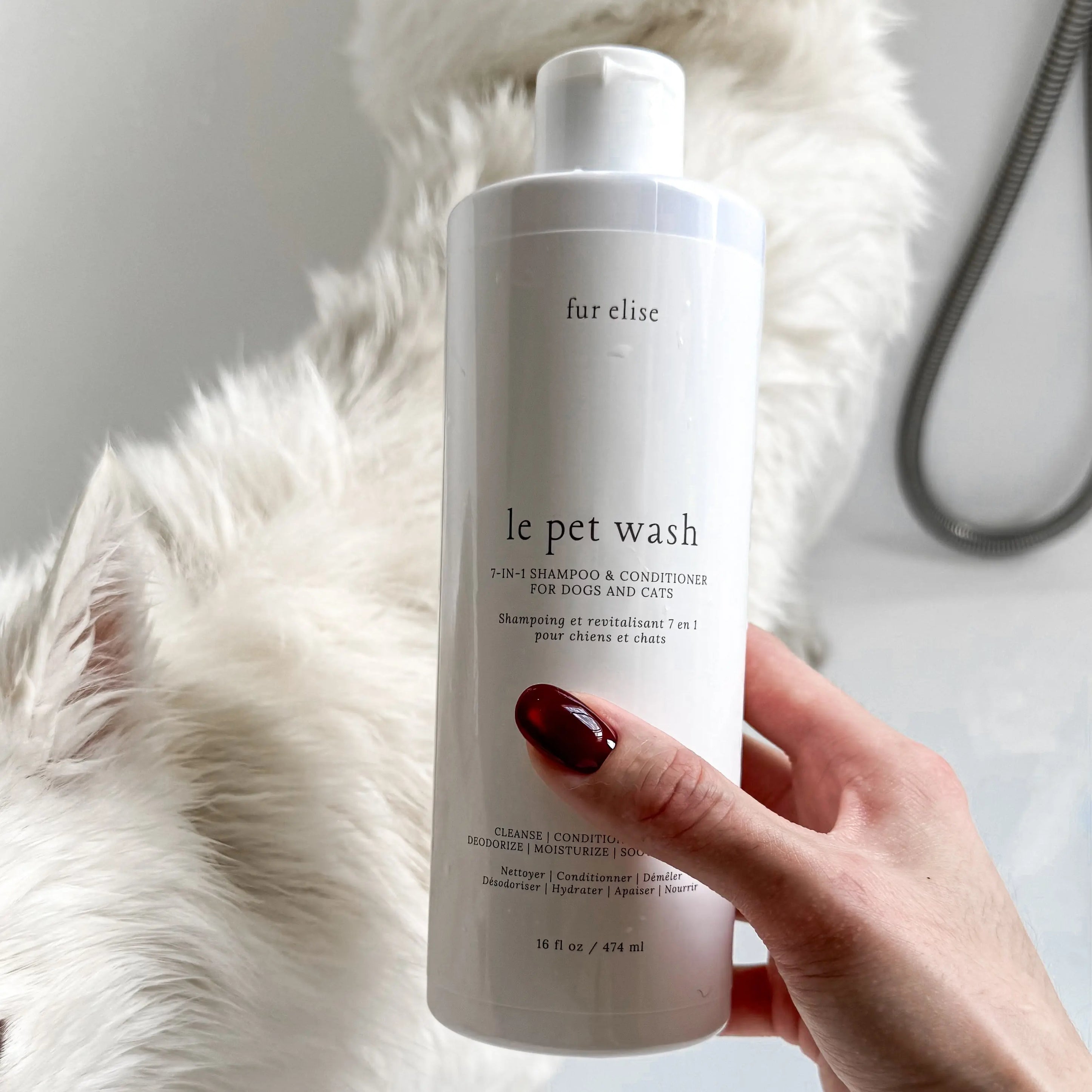 Le Pet Wash Elise Galleria