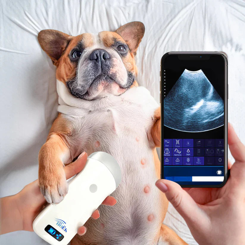 Traveler Lite 250 Wireless Ultrasound Scanner Horizon Animal Care