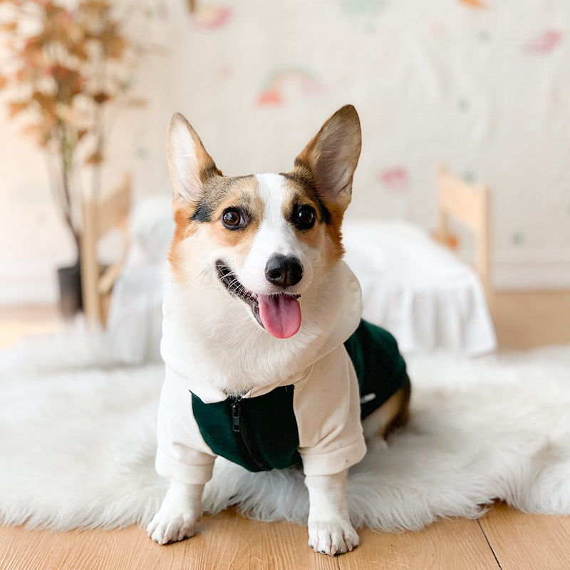 Corgi Dog Clothes Spring and Autumn Thin Small and Medium Dog Hair Shedding Prevention Pet Dog Clothes