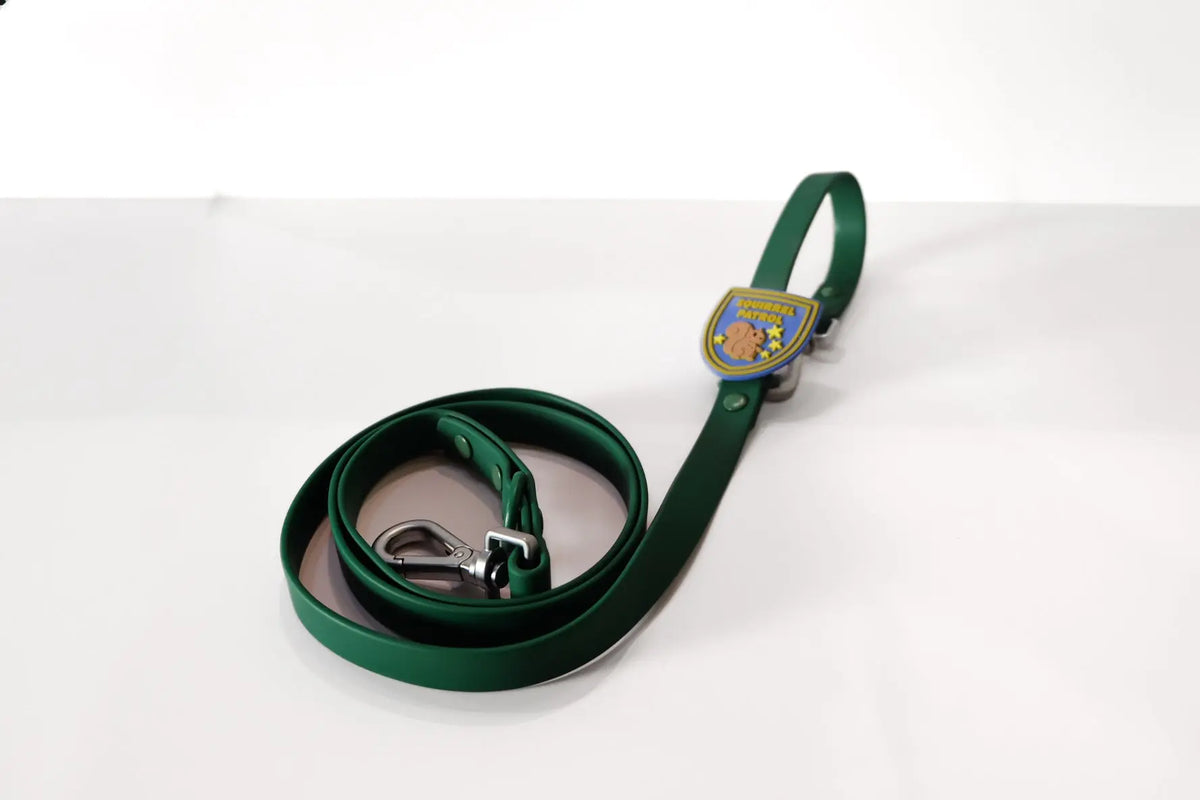 Collar & Leash Tabs