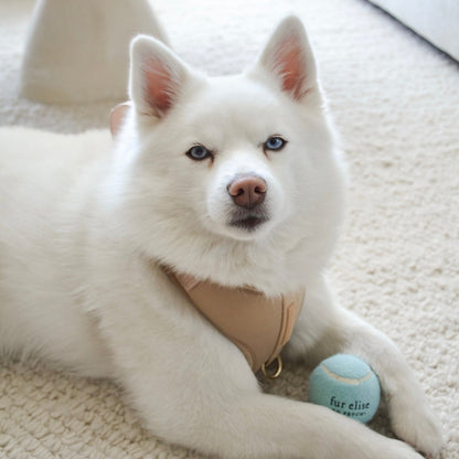 So Fetch! Tennis Ball - Cloud Elise Galleria