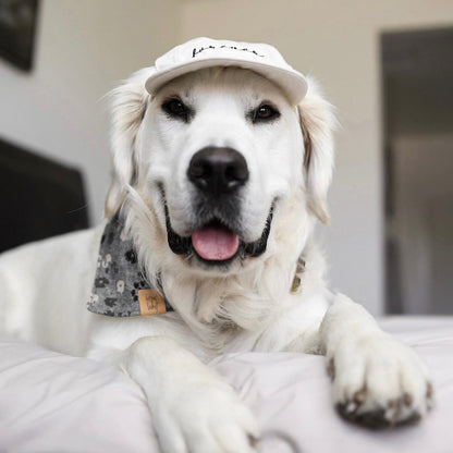 Furever Pet Hat Elise Galleria