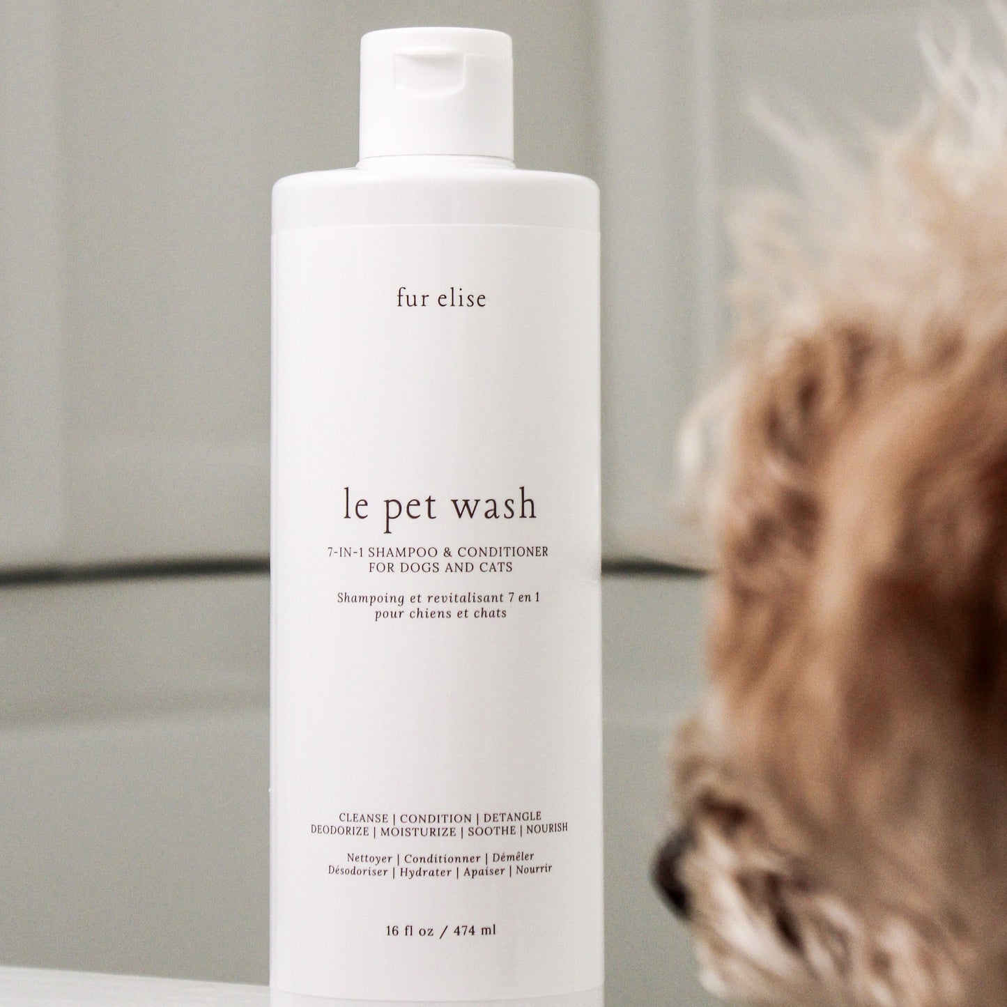 Le Pet Wash Elise Galleria