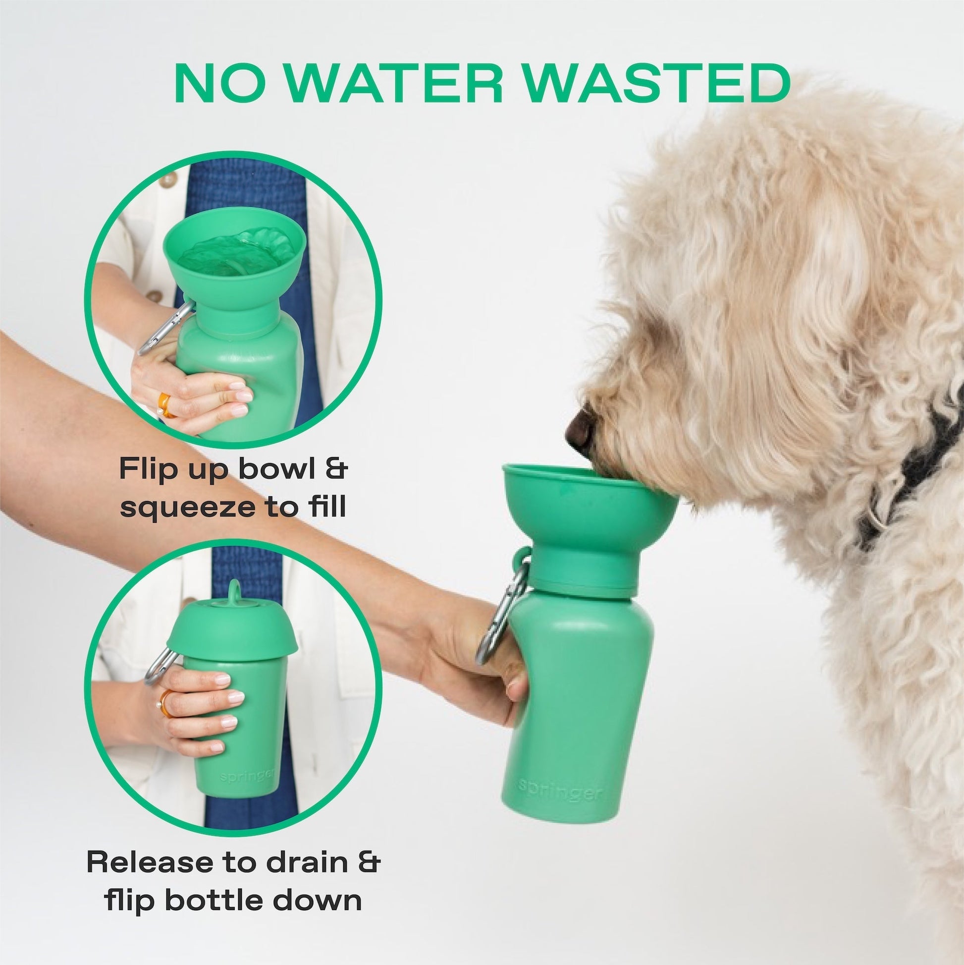 20oz Flip Dog Travel Water Bottle Springland Pets