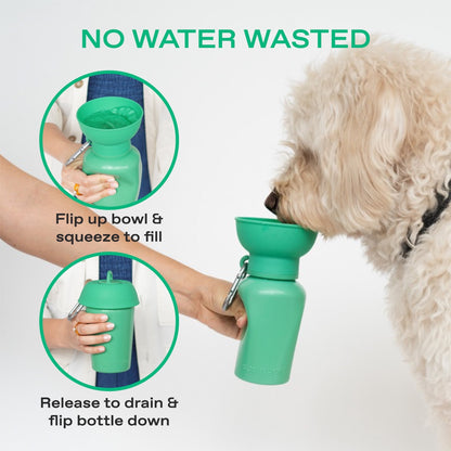 20oz Flip Dog Travel Water Bottle Springland Pets