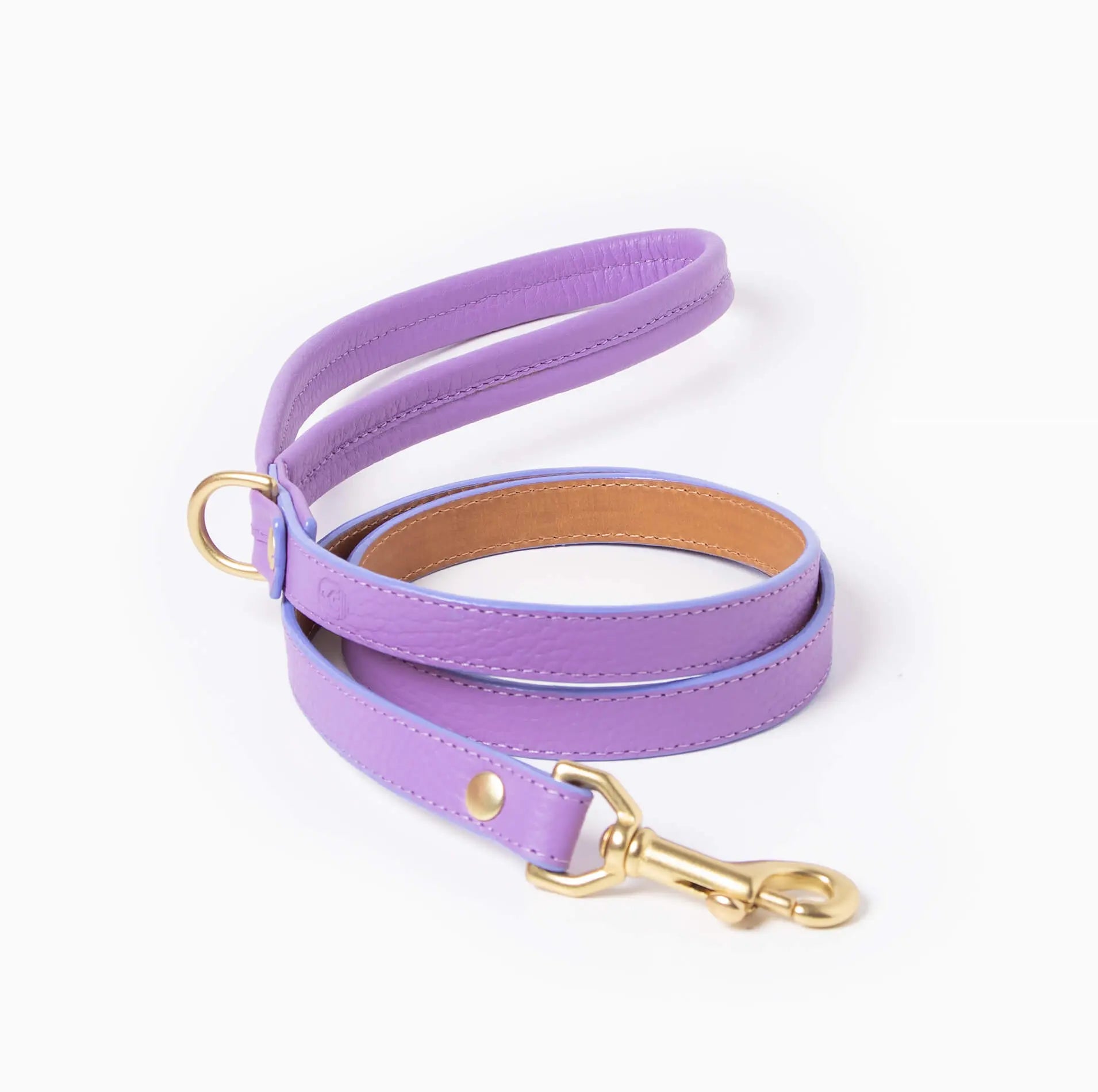 Fairy Leash Ramona For You