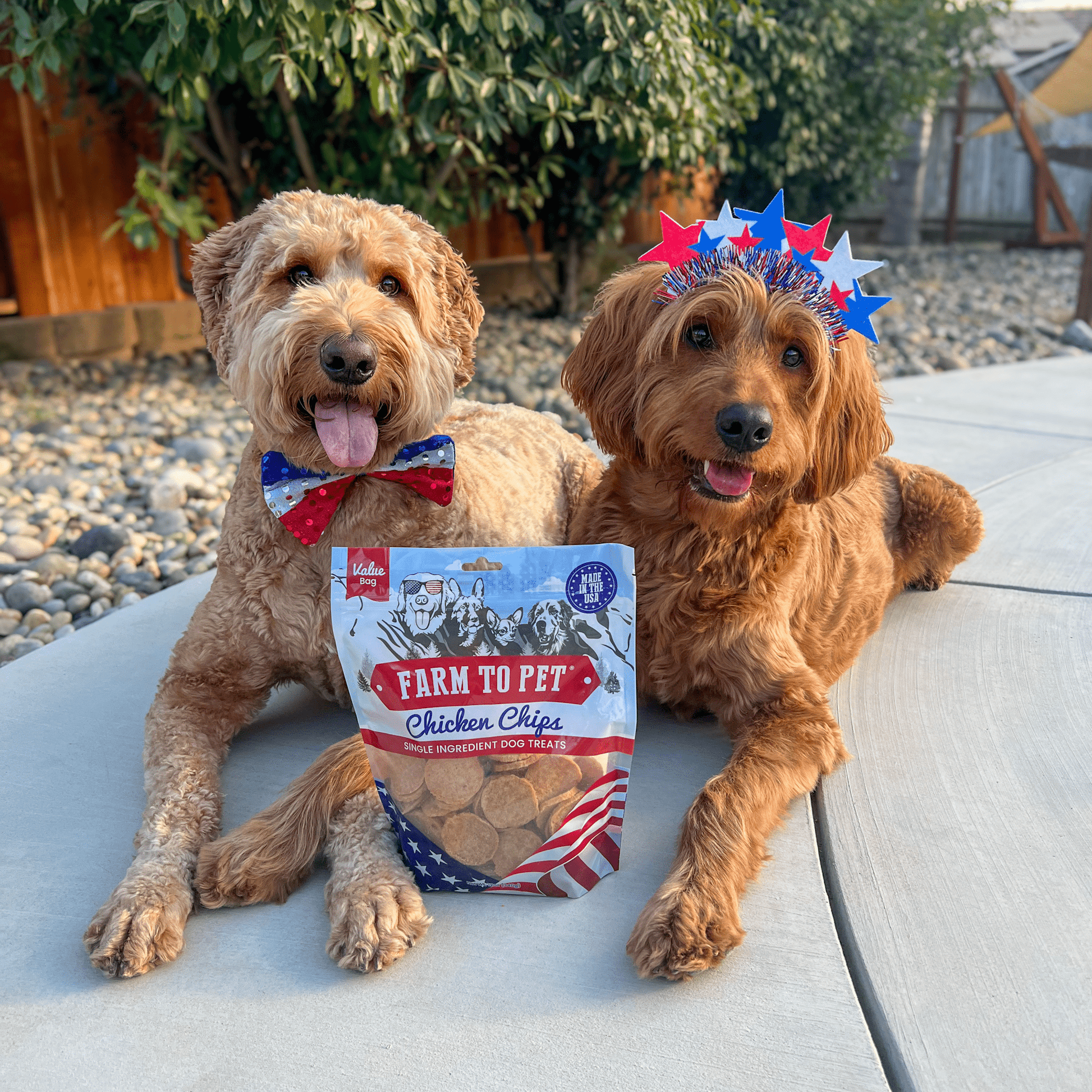 Americana Chicken Chips for Dogs | Celebrate with USA-made Dog Treats