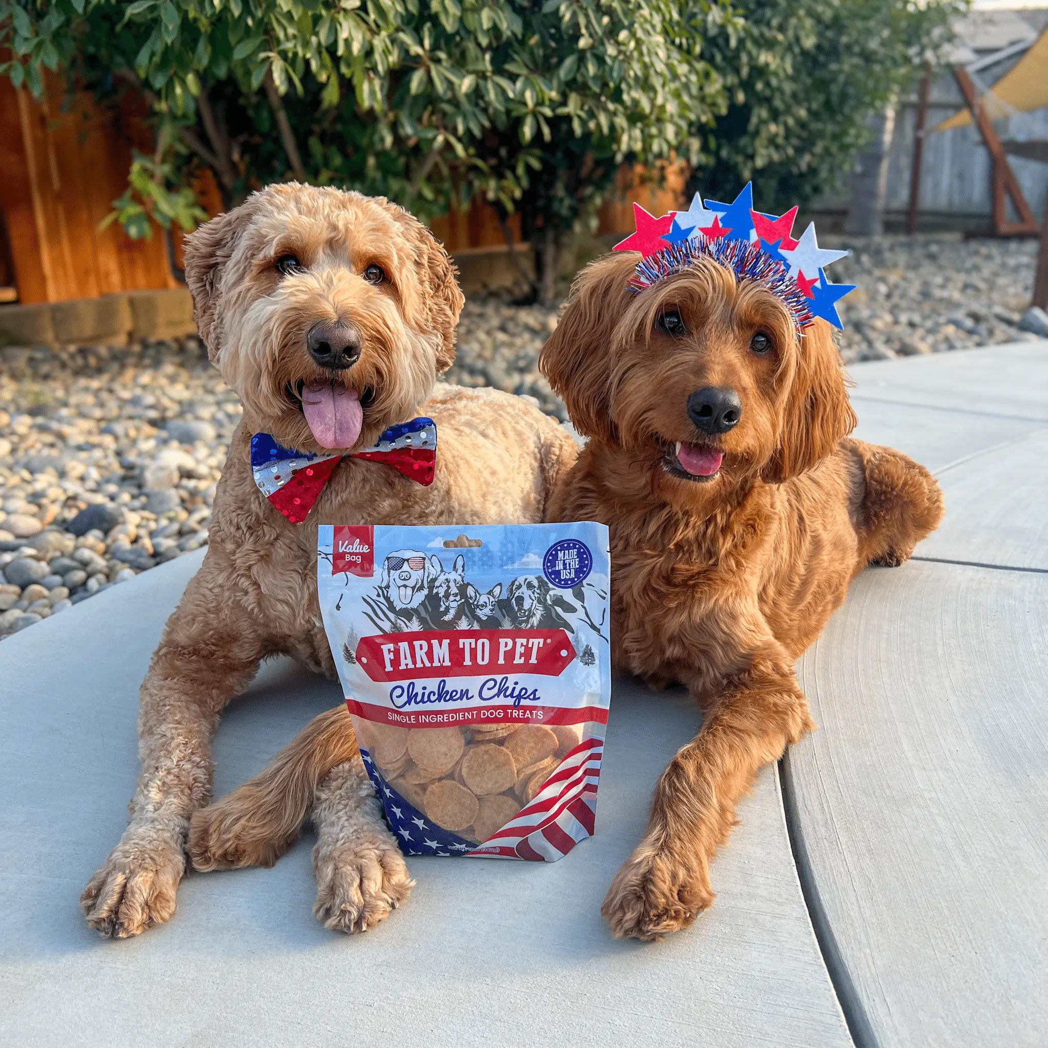 Americana Chicken Chips for Dogs | Celebrate with USA-made Dog Treats Farm To Pet