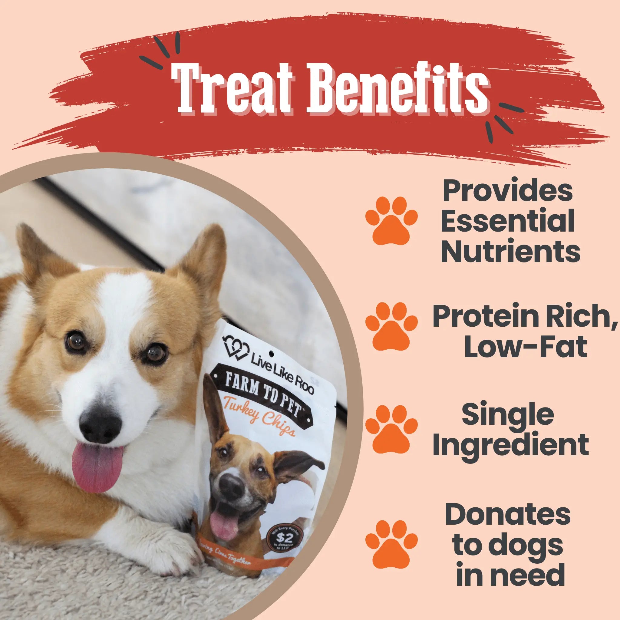 Live Like Roo Turkey Chips for Dogs | Dog Treats That Give Back Farm To Pet