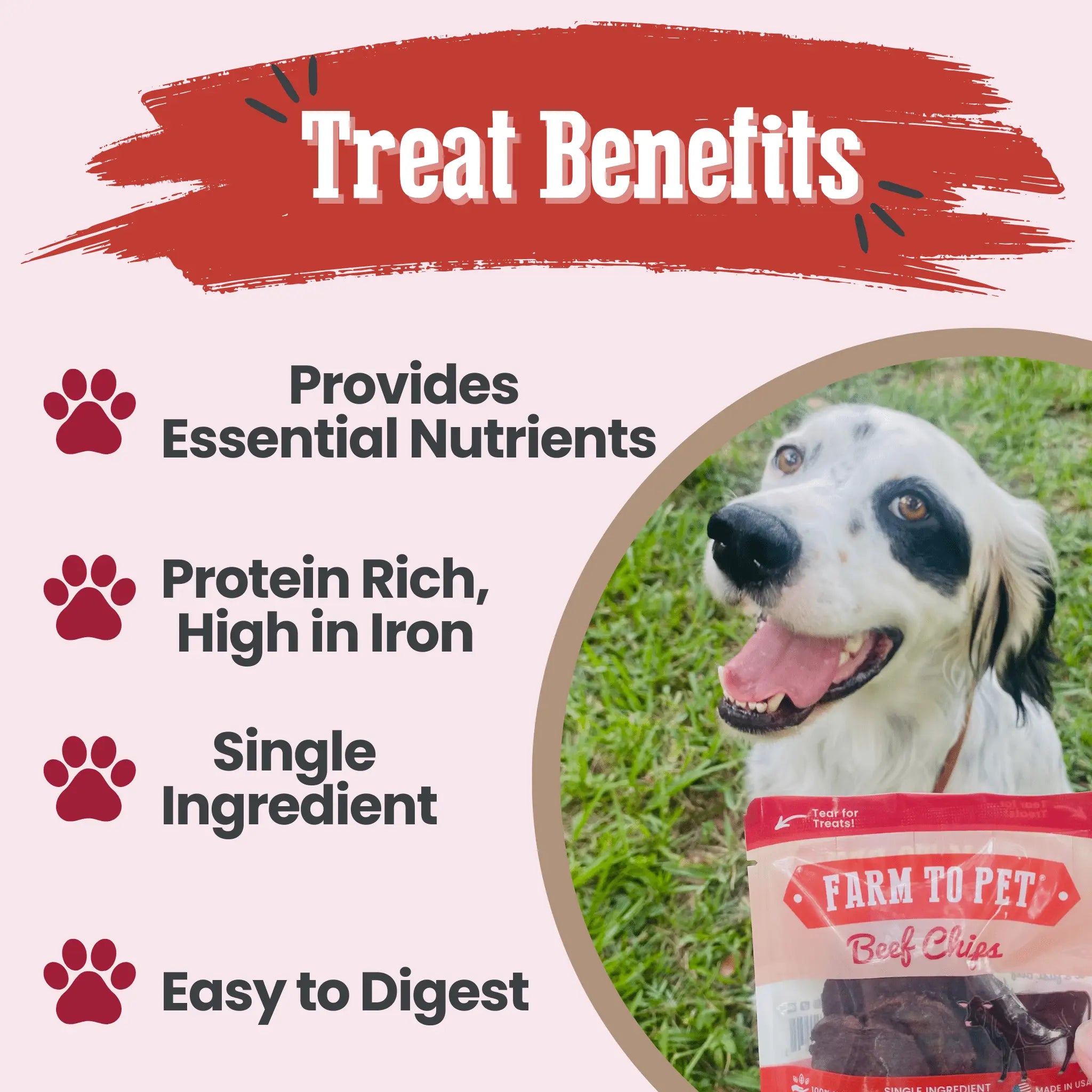 Beef Chips Snack Pack Bundles | Dog Treats for Training & Travel Farm To Pet