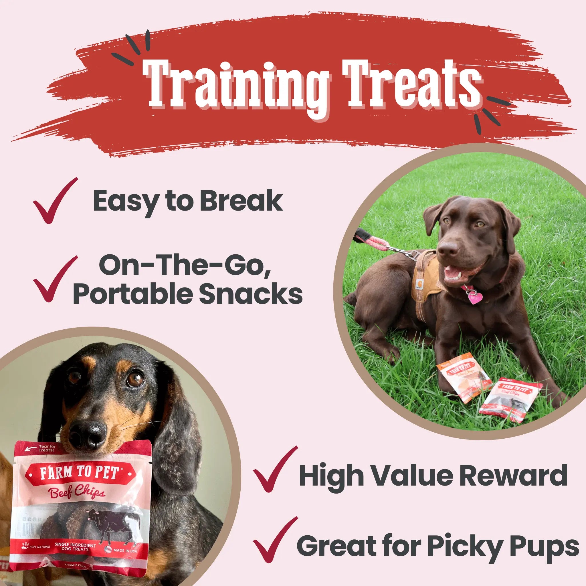 Beef Chips Snack Pack Bundles | Dog Treats for Training & Travel Farm To Pet