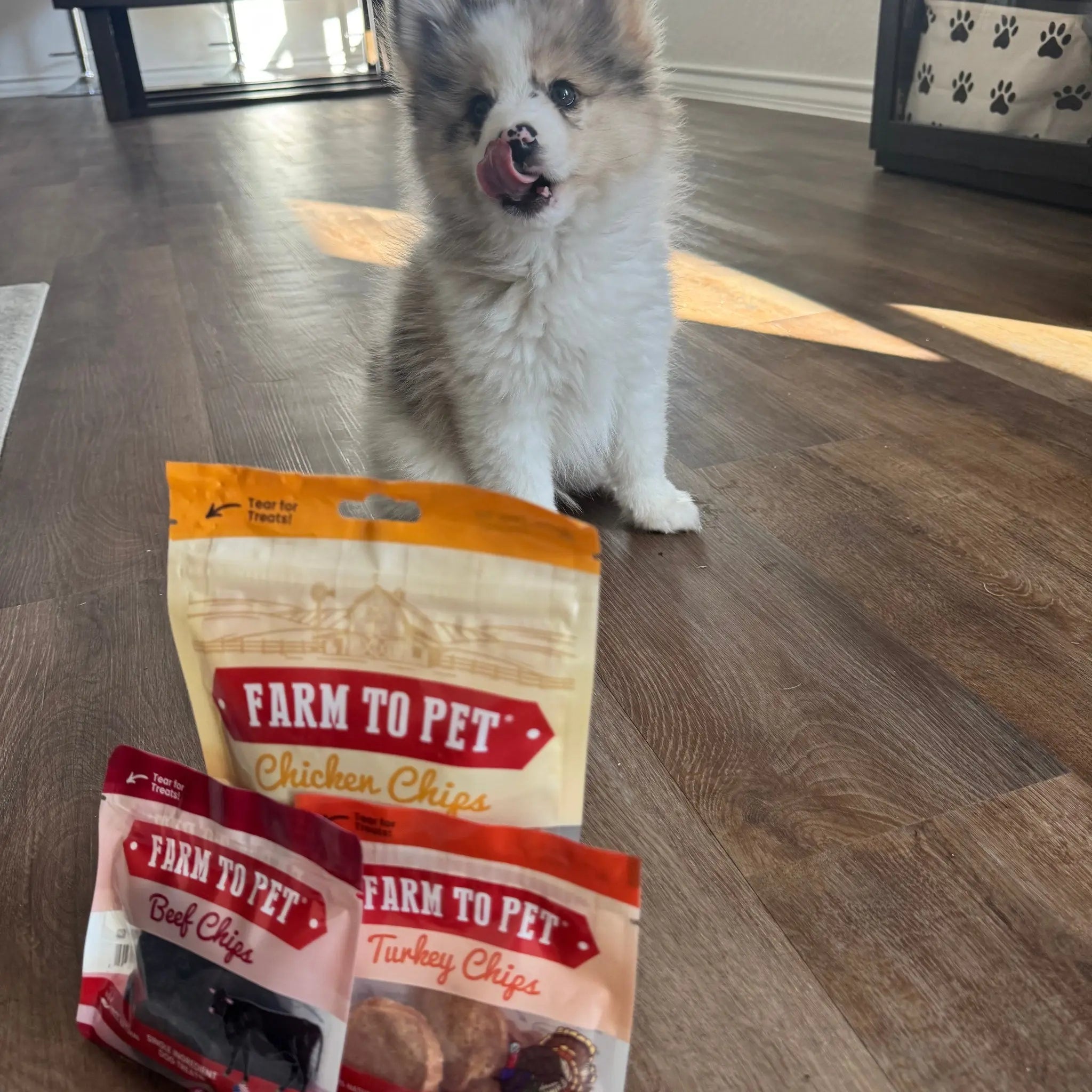 Puppy Packs 'n Snacks Dog Treat Starter Pack | Single-Ingredient Training Treats Farm To Pet