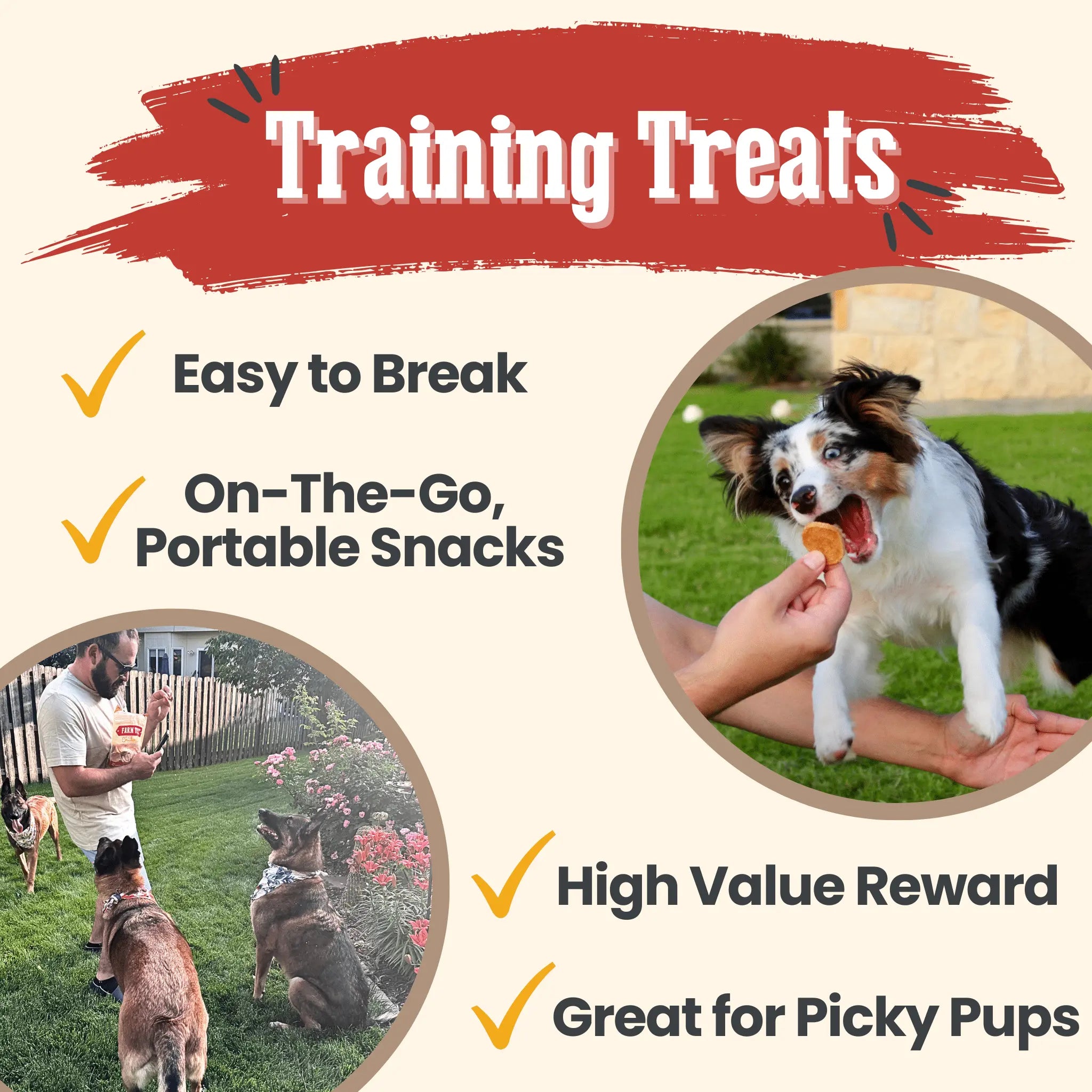 Chicken Chips for Dogs | All-Natural Single-Ingredient Dog Treats Farm To Pet